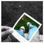 Benutzerbild von The Sebo