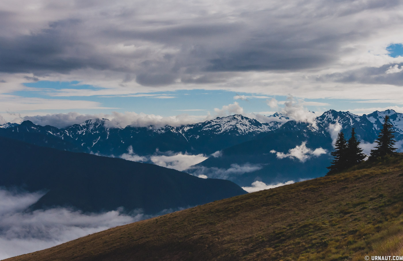 0026-Olympic Peninsula.jpg