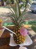 0D8F9947-DD82-4BEE-9129-0083DED2A65C.jpeg