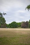IMG_1000.jpeg
