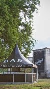 Cocktails.jpeg