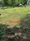 IMG_1626.jpeg
