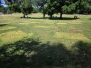 20260608_112726.jpg