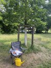 IMG_1834.jpeg