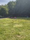 IMG_20260615_190401.jpg