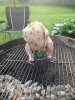 beerchicken2.jpg