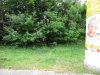IMG_0554.JPG