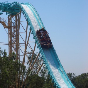 Prarchive_2009_1463