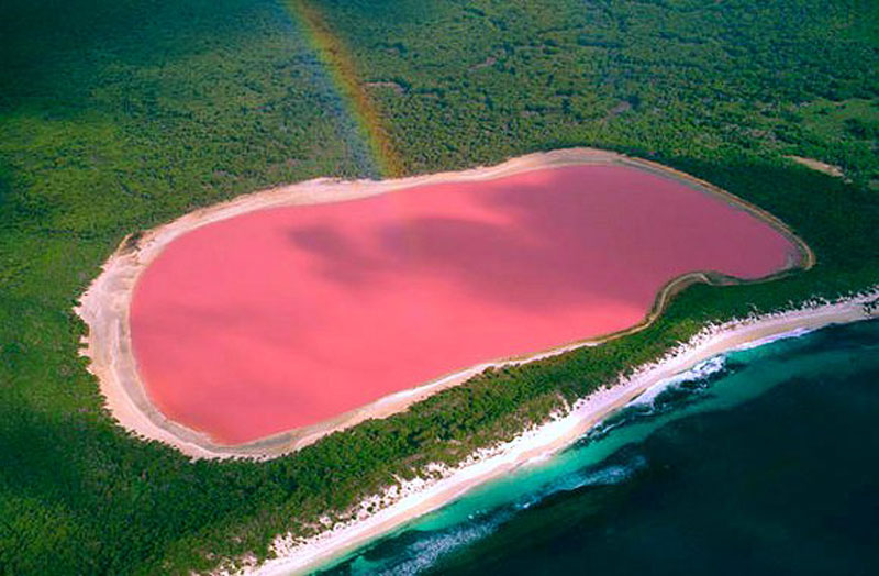 lake-hillier-pink-lake-in-australia-4.jpg